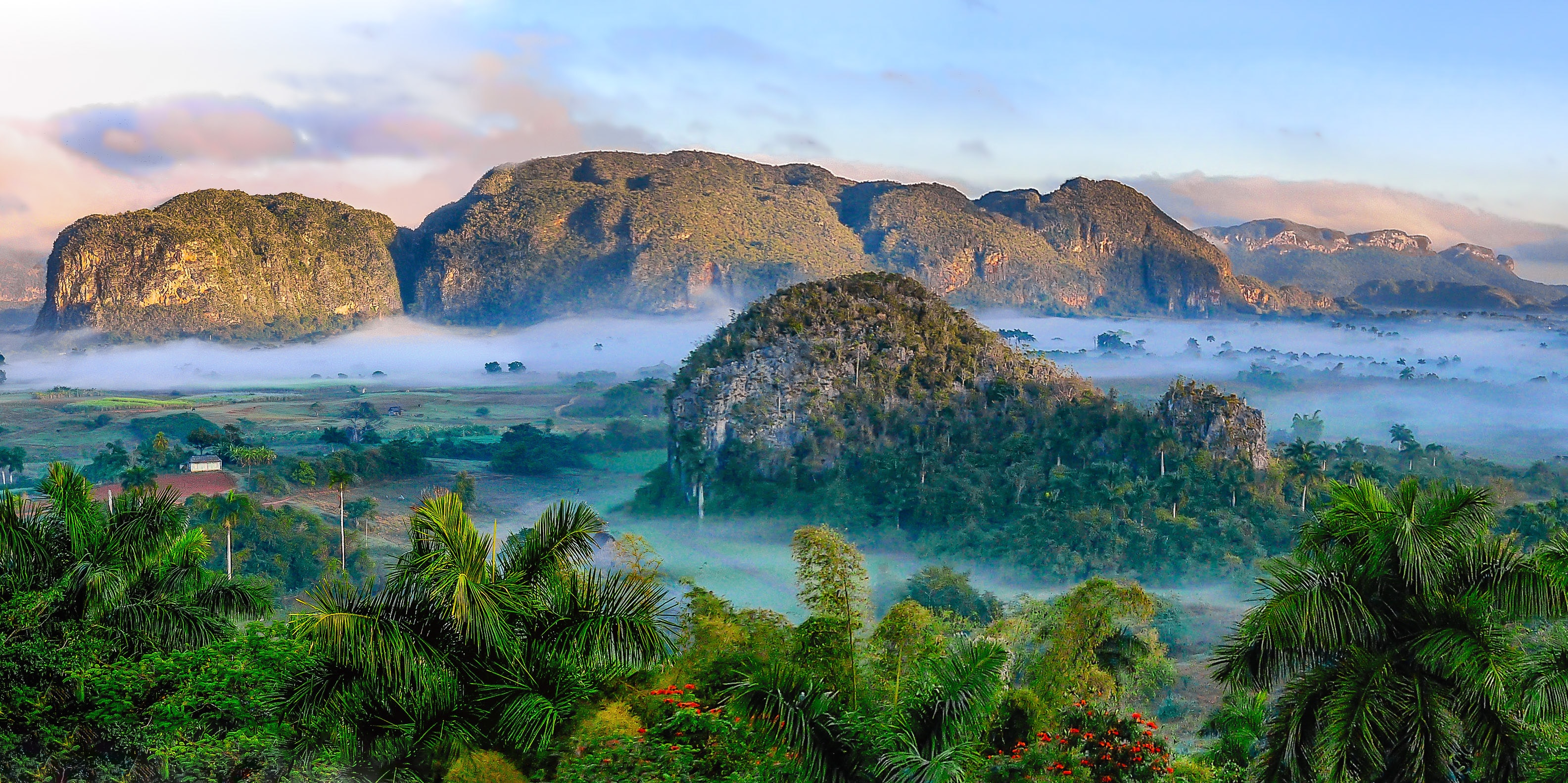 High resolution nature image